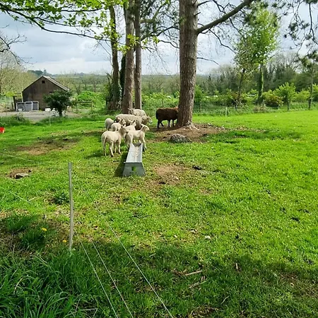 Dutchdream Logcabin Bed & Breakfast 3*