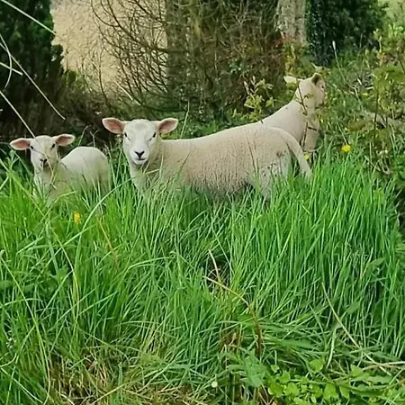 Dutchdream Bed And Breakfast Eighter
