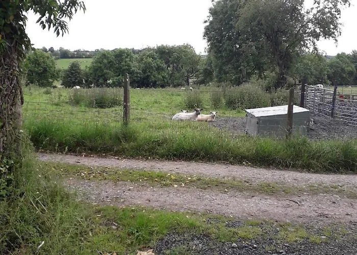 Bed & Breakfast Dutchdream 3*